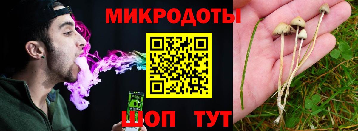 как найти закладки  Вход с VPN  Галлюциногенные грибы ЛСД  Урус-Мартан  Галлюциногенные грибы Psilocybe 